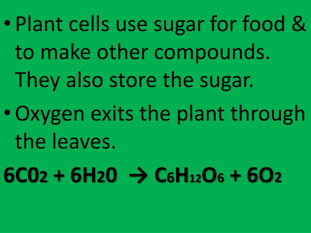 plant cells use sugar for food to make other