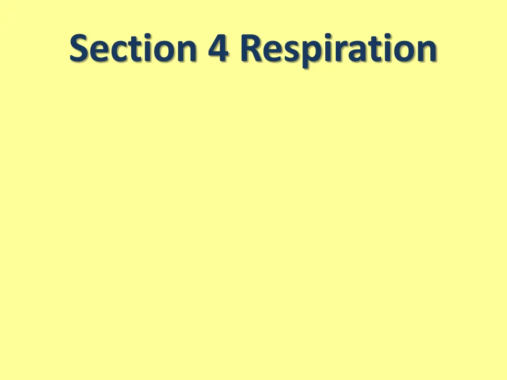 section 4 respiration