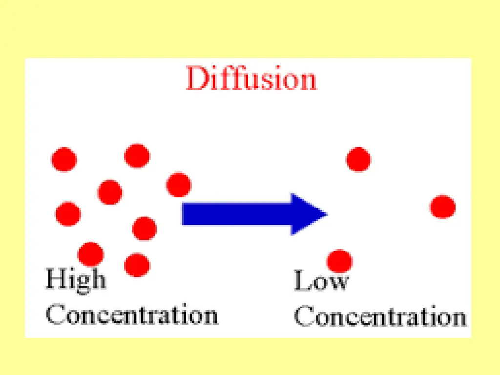 slide18