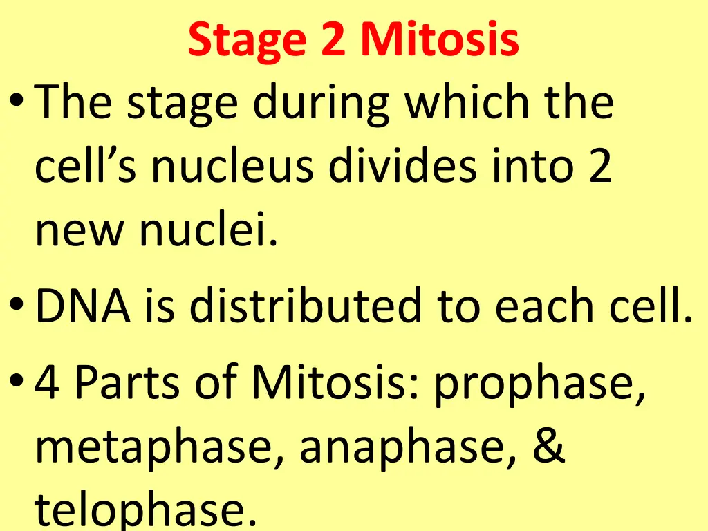 stage 2 mitosis