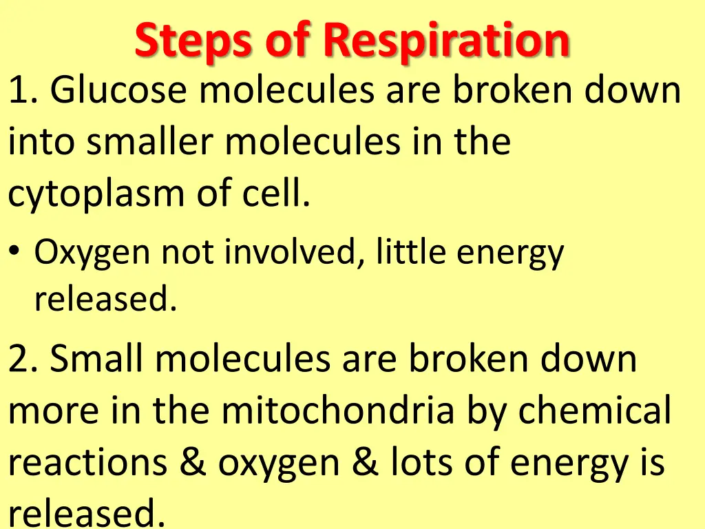 steps of respiration 1 glucose molecules