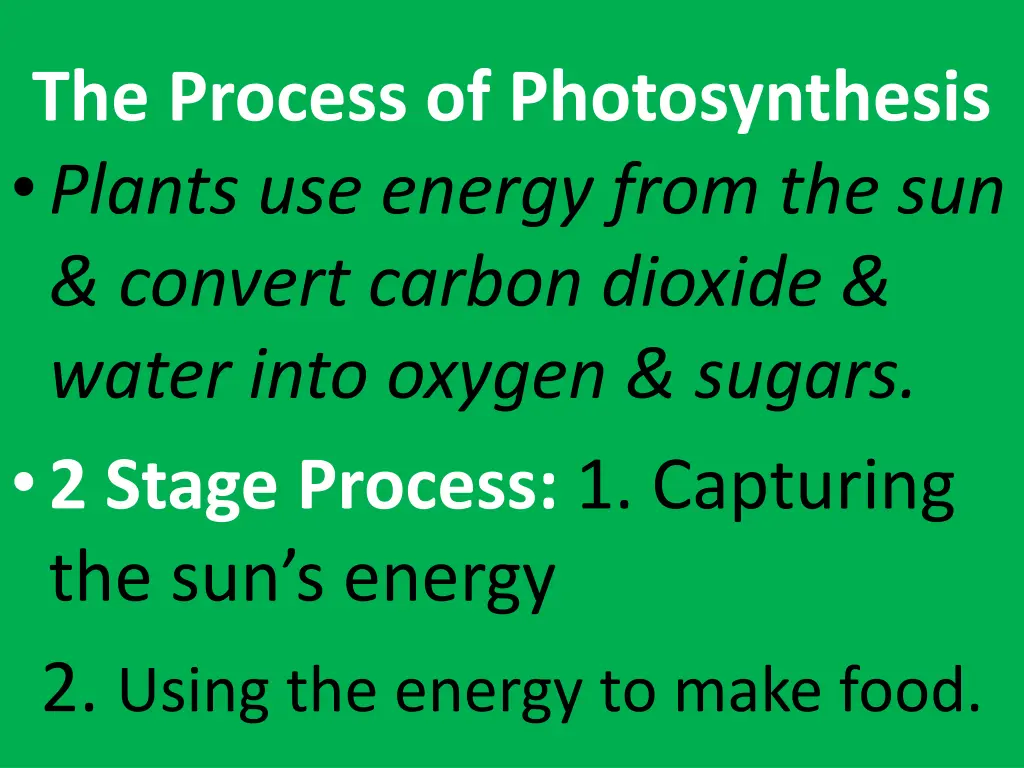 the process of photosynthesis plants use energy