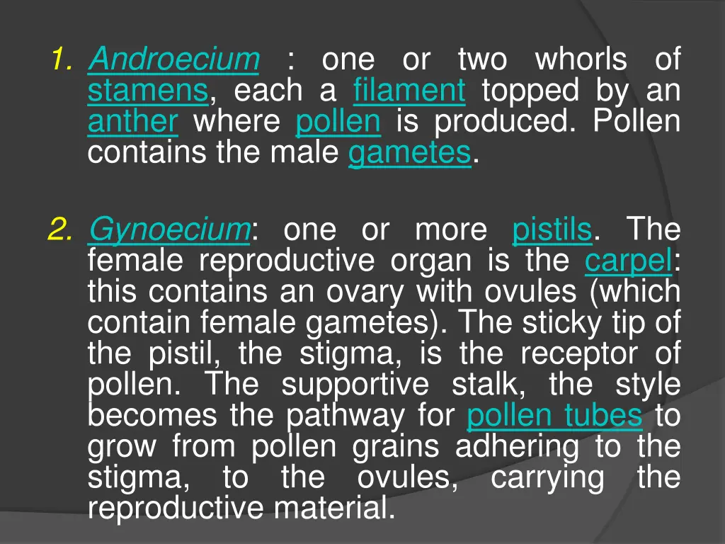 1 androecium one or two whorls of stamens each