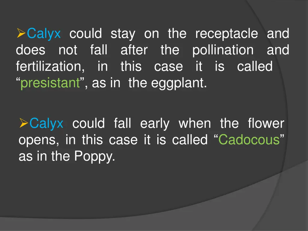 calyx could stay on the receptacle and does