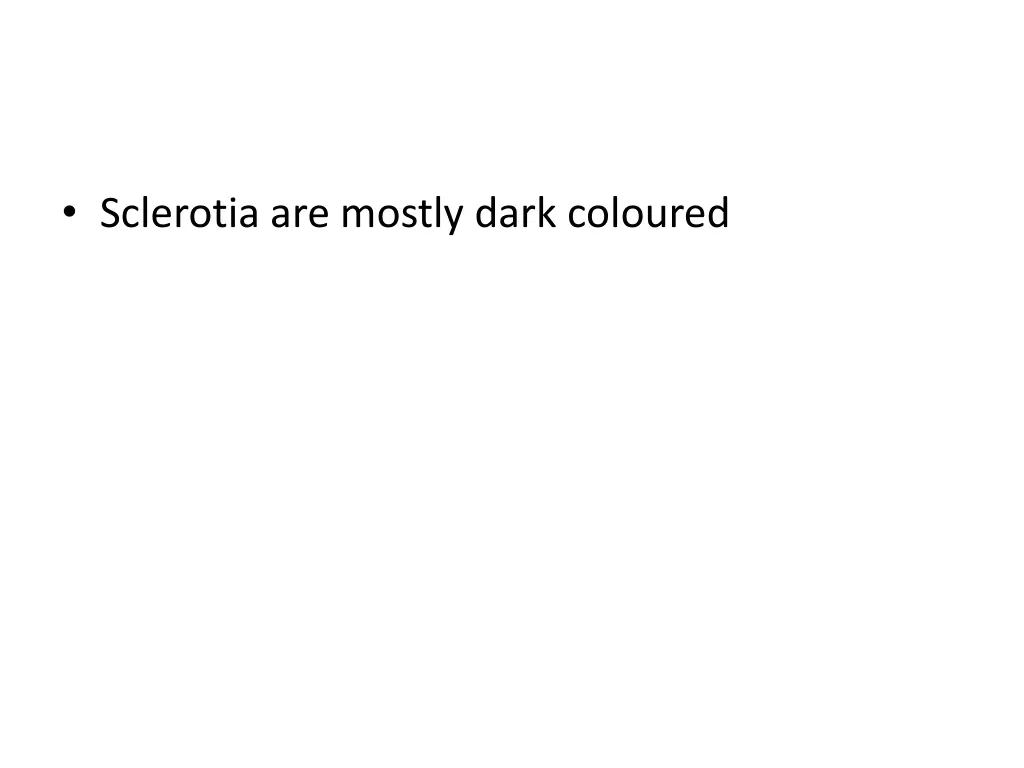 sclerotia are mostly dark coloured