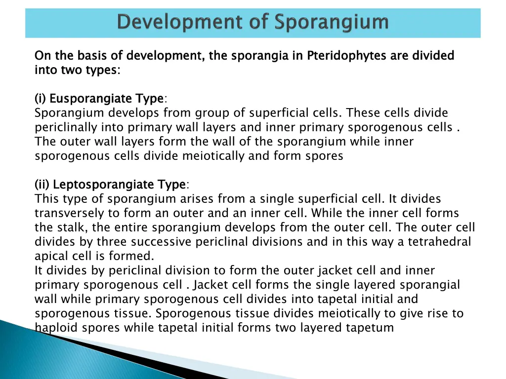 on the basis of development the sporangia in into