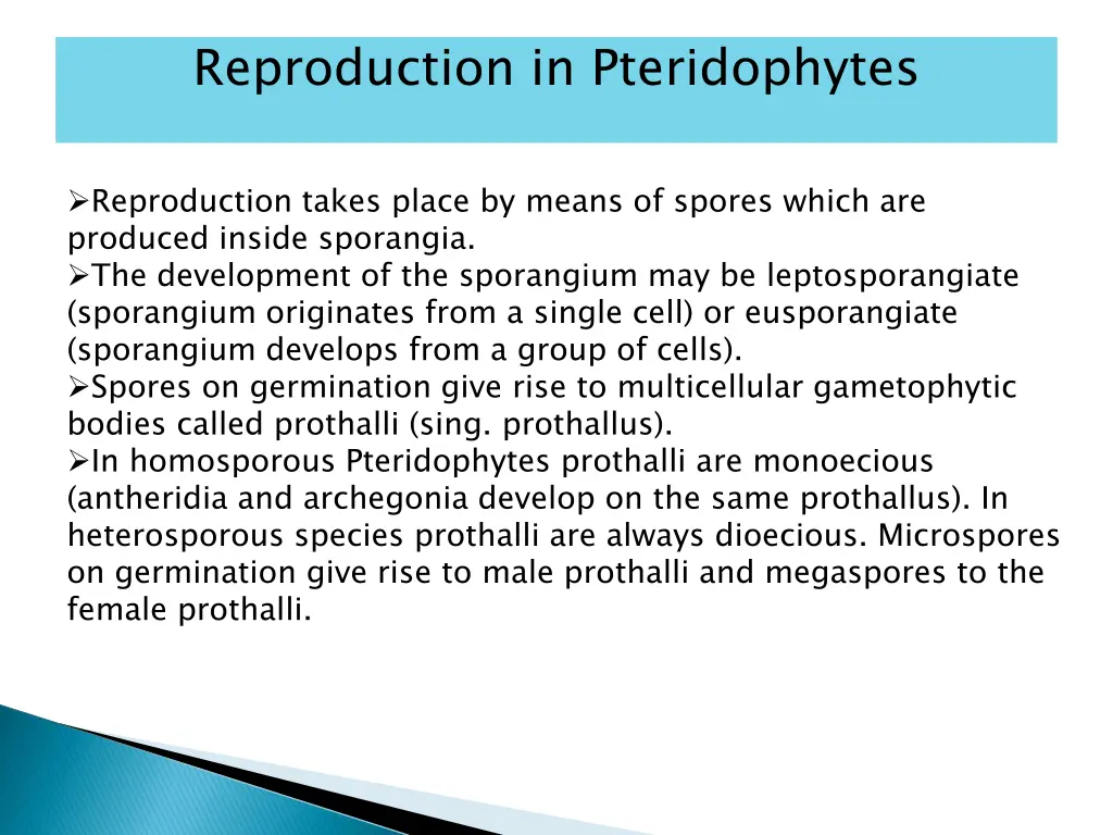 reproduction in pteridophytes