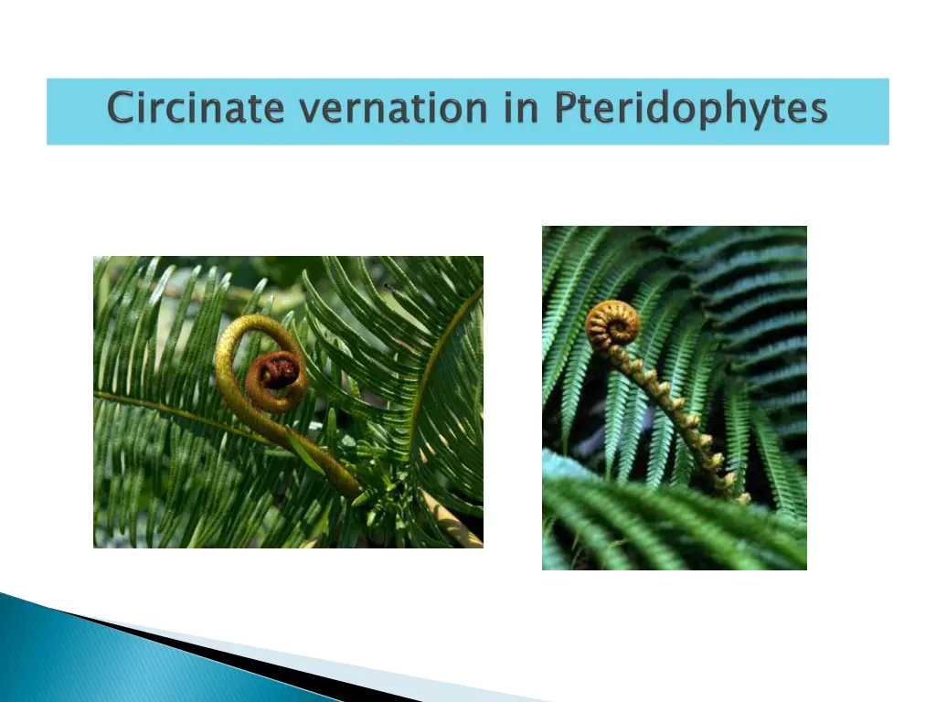 slide6