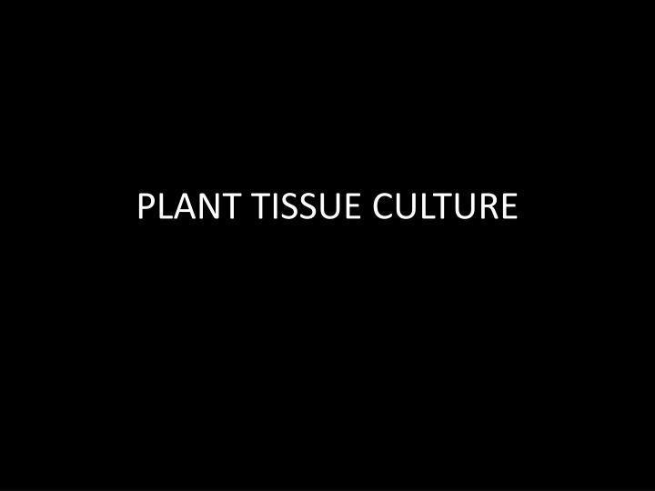 plant tissue culture