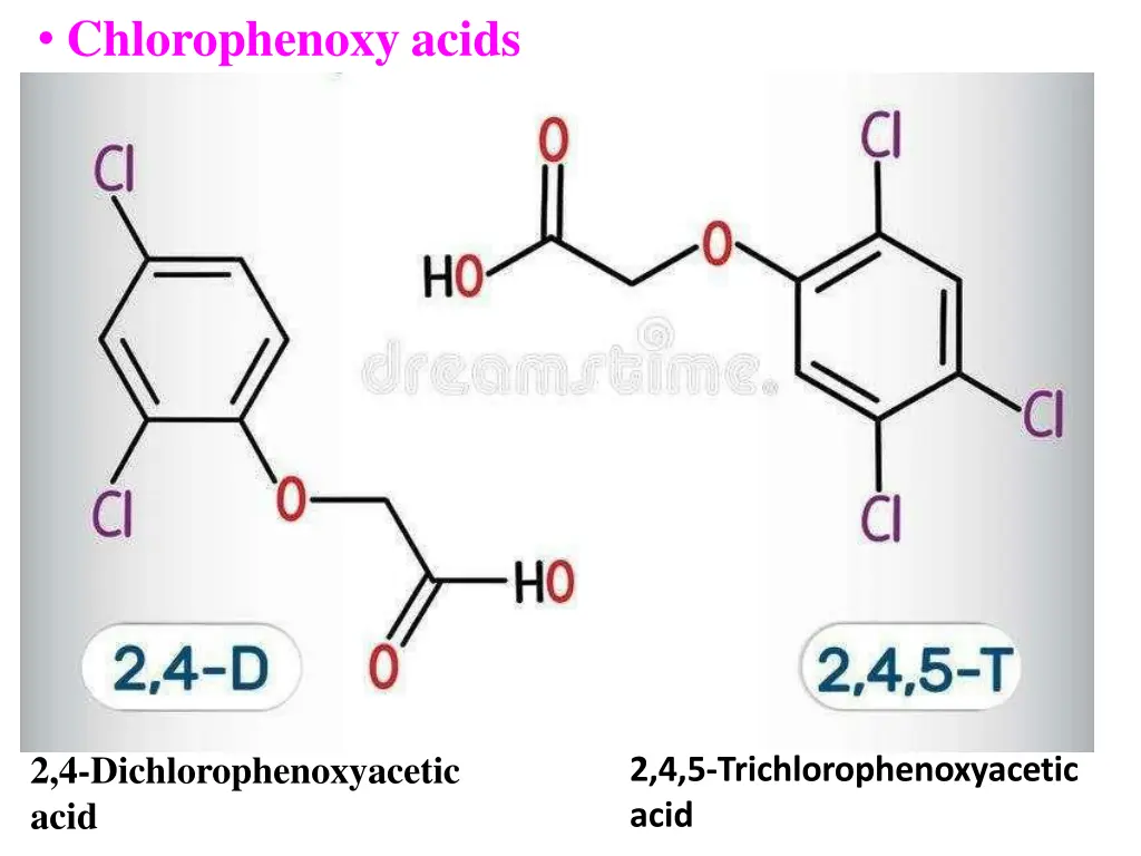 chlorophenoxy acids