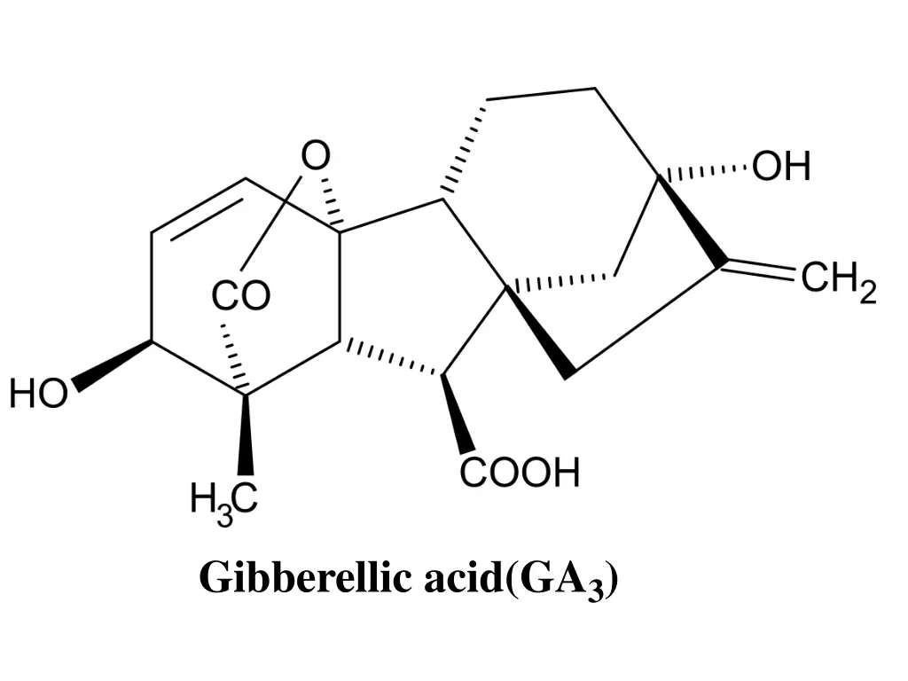 gibberellic acid ga 3