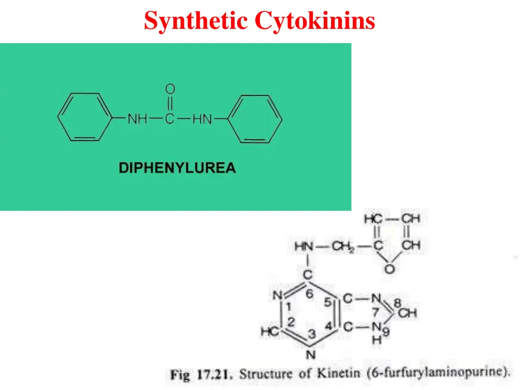 synthetic cytokinins