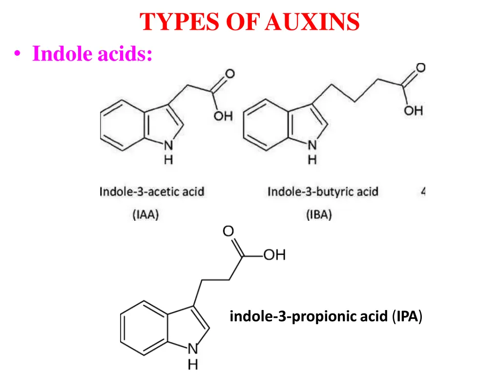 types ofauxins