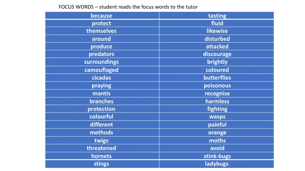 focus words student reads the focus words