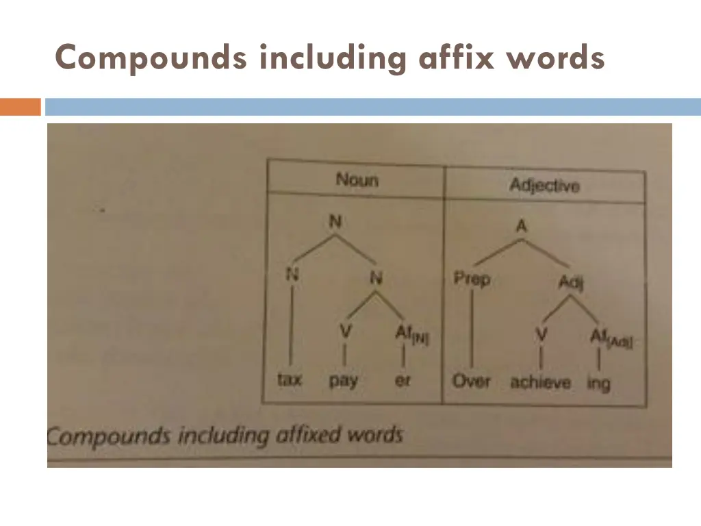 compounds including affix words