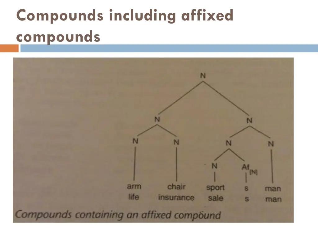 compounds including affixed compounds