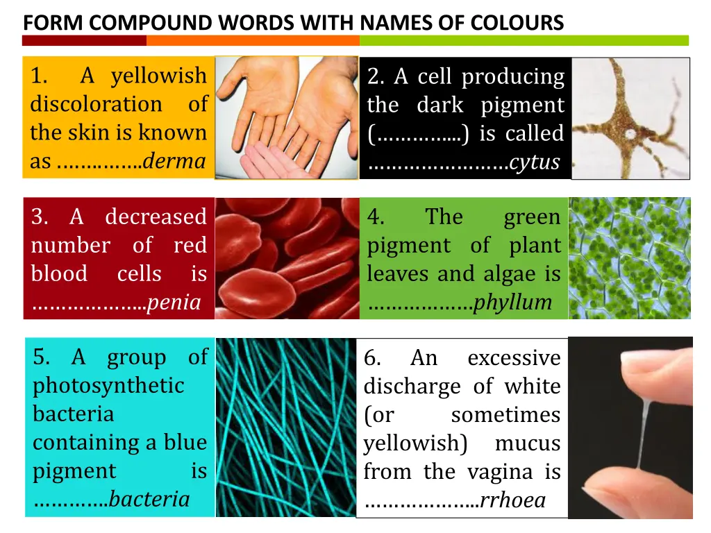 form compound words with names of colours