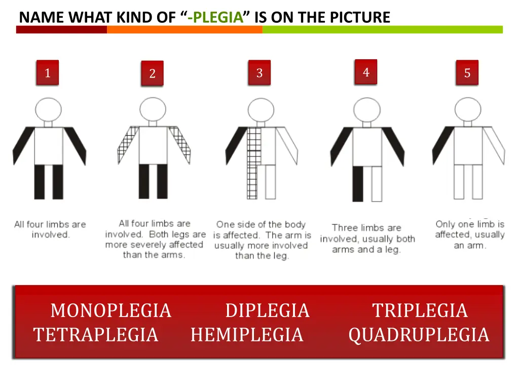 name what kind of plegia is on the picture