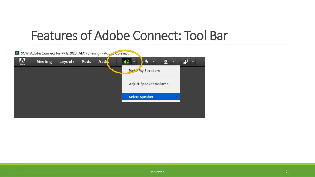 features of adobe connect tool bar features 2