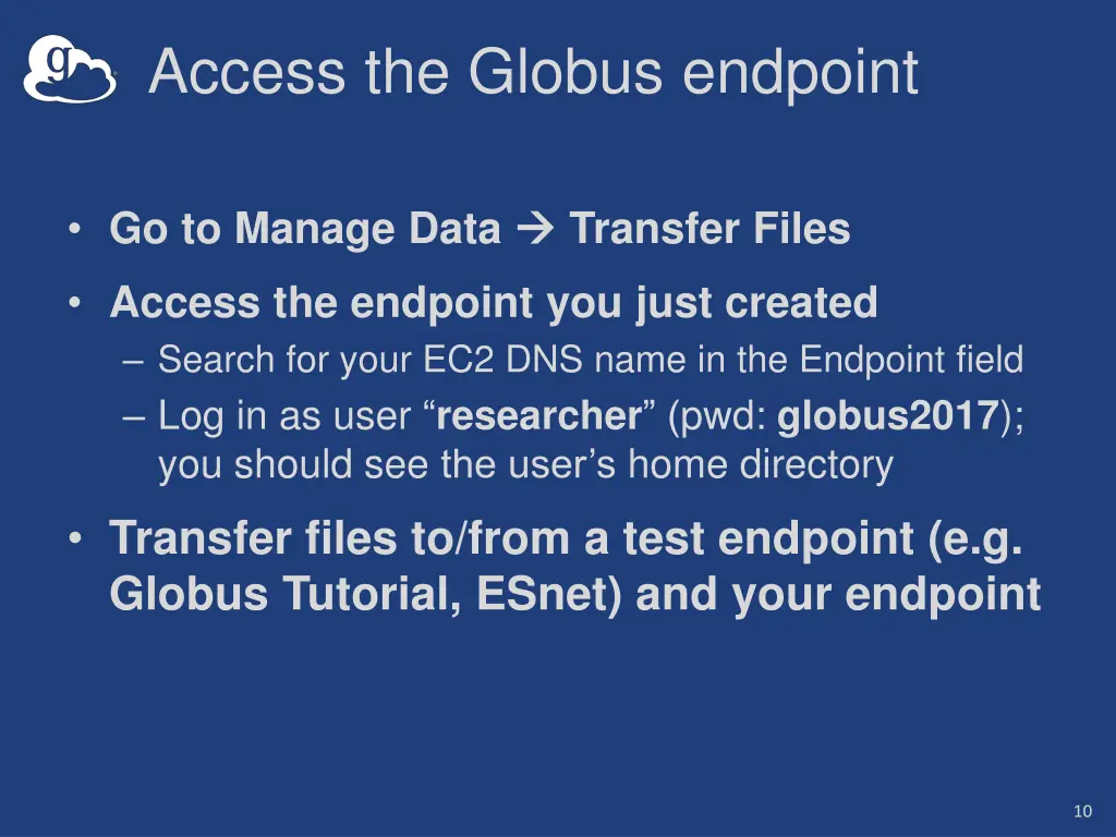 access the globus endpoint