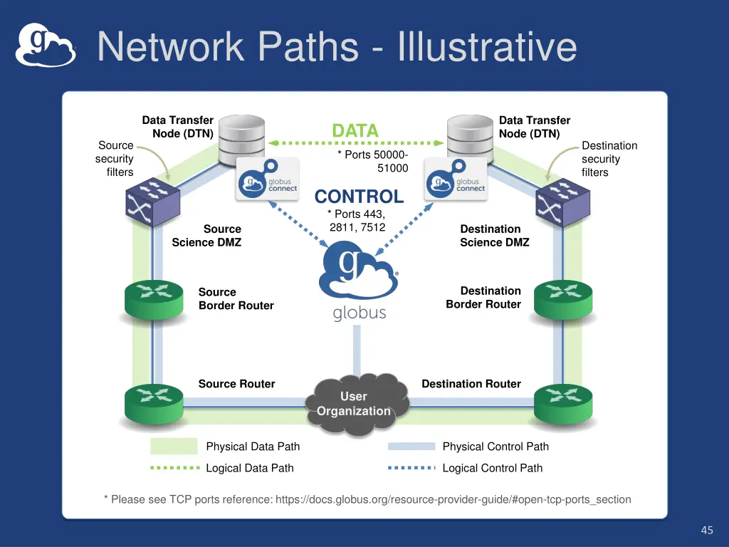 network paths illustrative