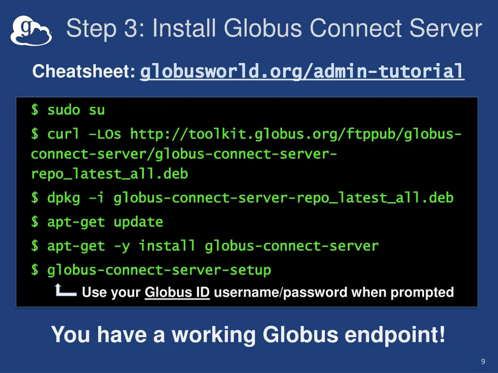 step 3 install globus connect server