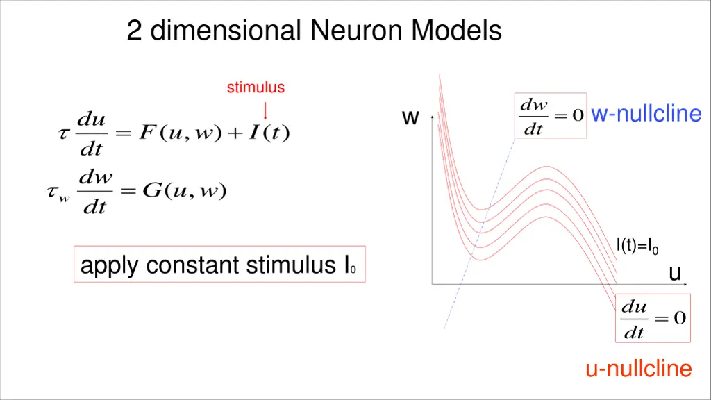 2 dimensional neuron models