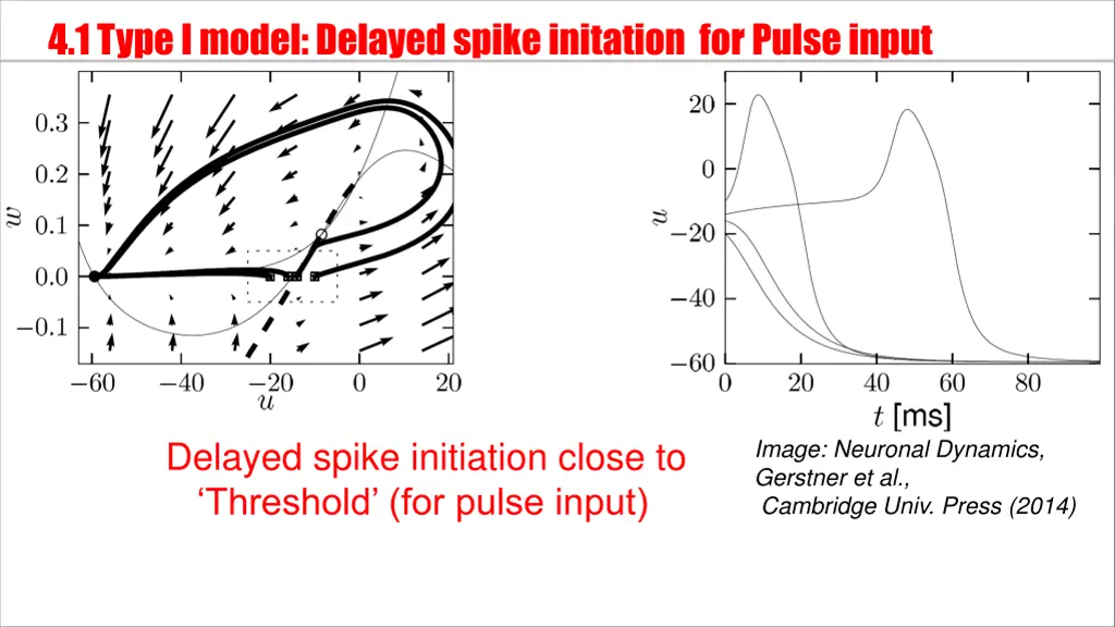 4 1 type i model delayed spike initation