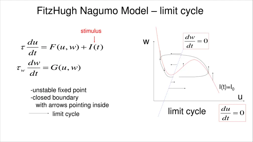 fitzhugh nagumo model limit cycle