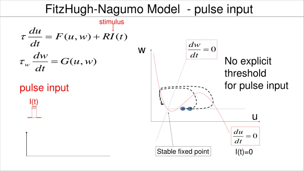 fitzhugh nagumo model pulse input stimulus