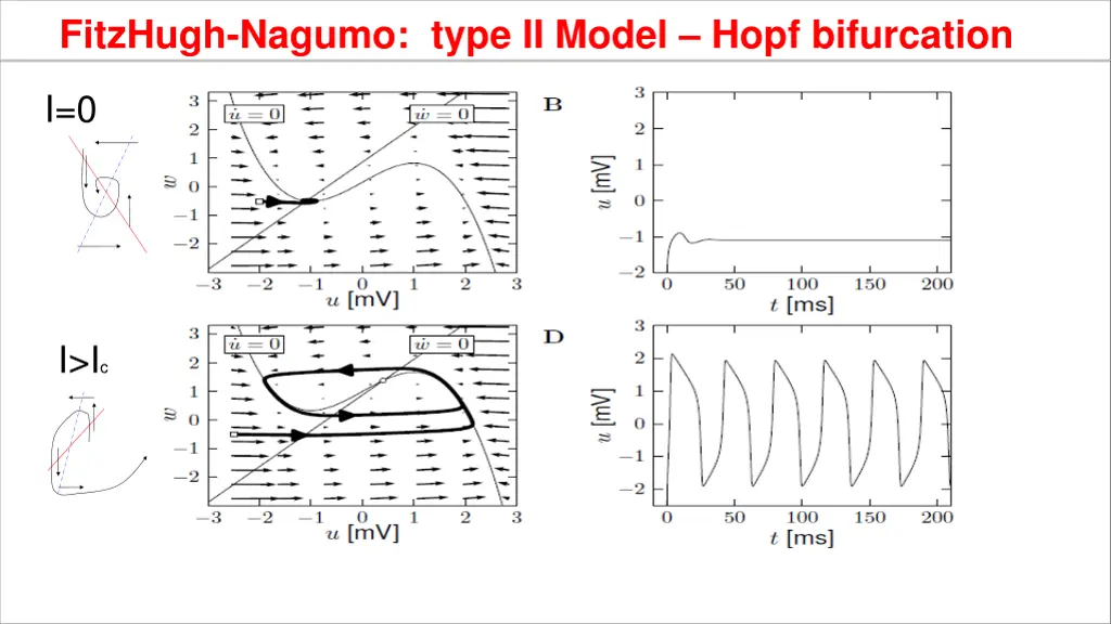 fitzhugh nagumo type ii model hopf bifurcation