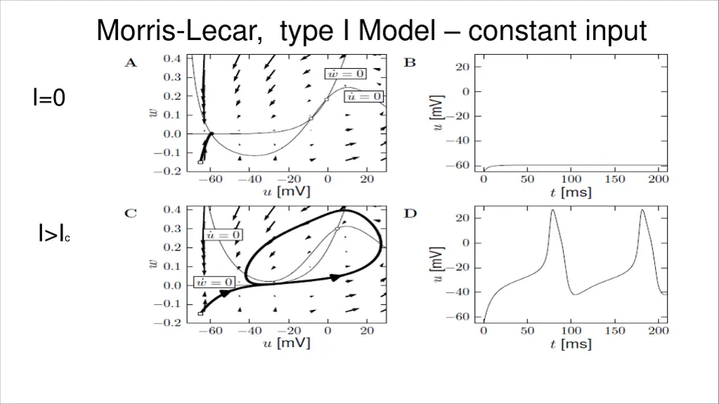 morris lecar type i model constant input