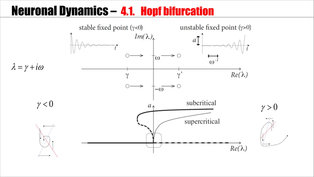 neuronal dynamics 4 1 hopfbifurcation