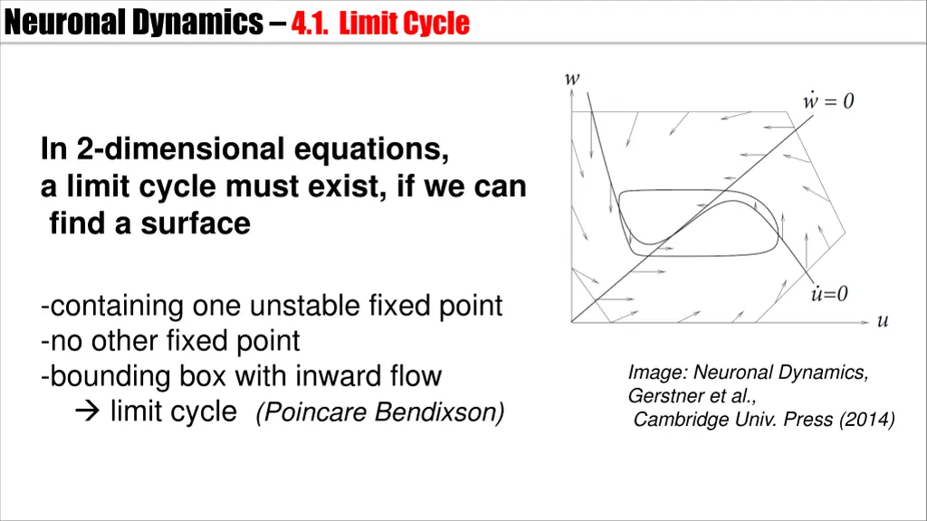 neuronal dynamics 4 1 limitcycle 1