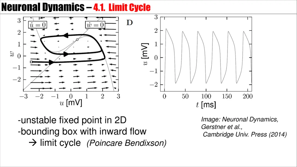 neuronal dynamics 4 1 limitcycle