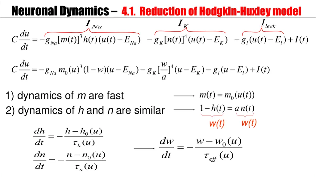 neuronal dynamics 4 1 reductionof hodgkin huxley