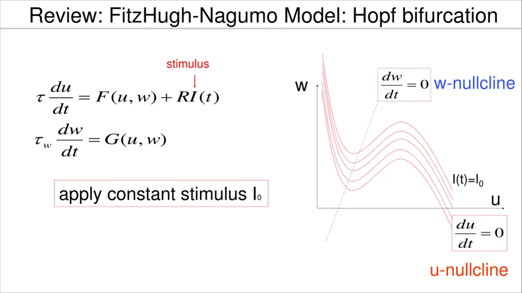 review fitzhugh nagumo model hopf bifurcation