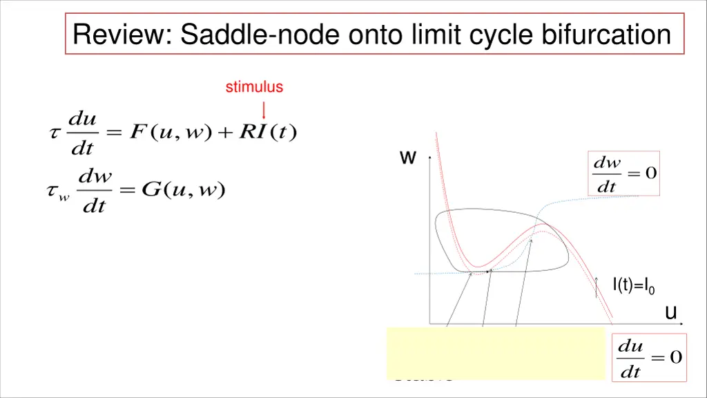 review saddle node onto limit cycle bifurcation