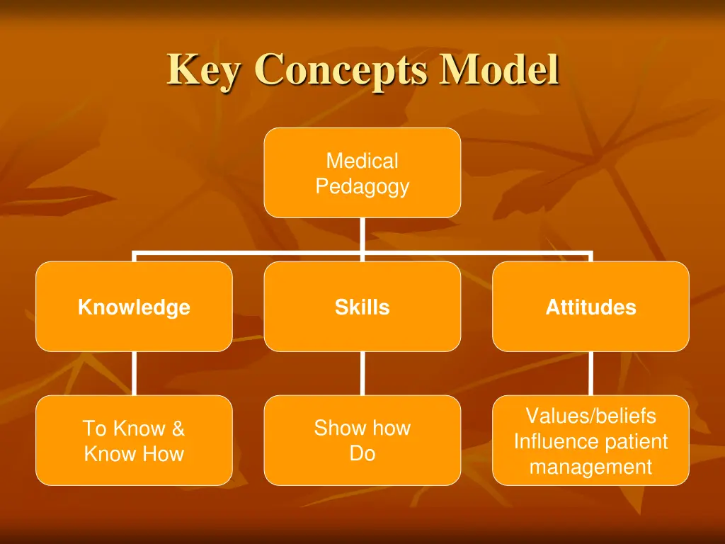 key concepts model