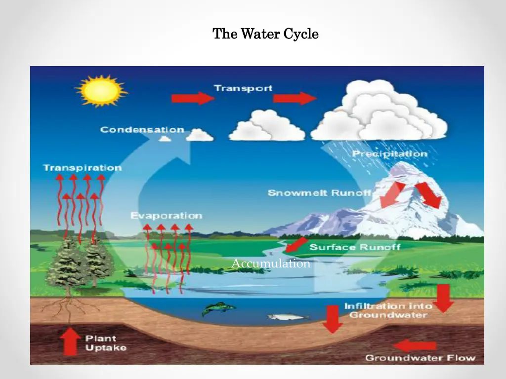 the the water water cycle