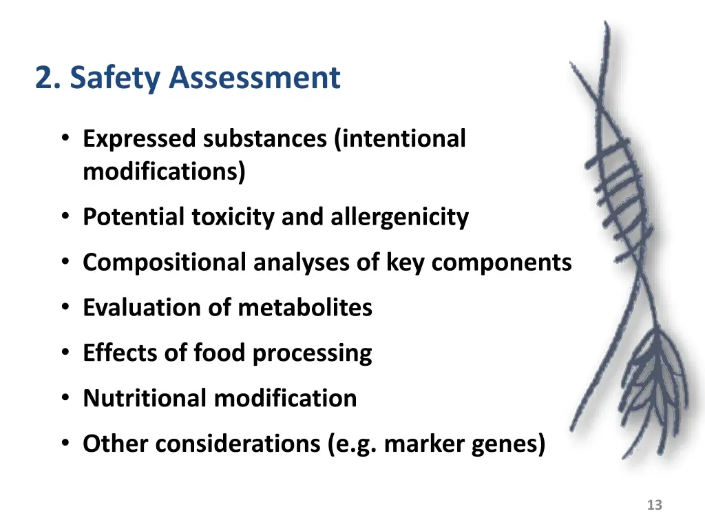 2 safety assessment