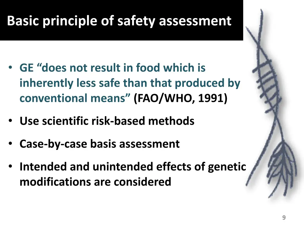 basic principle of safety assessment