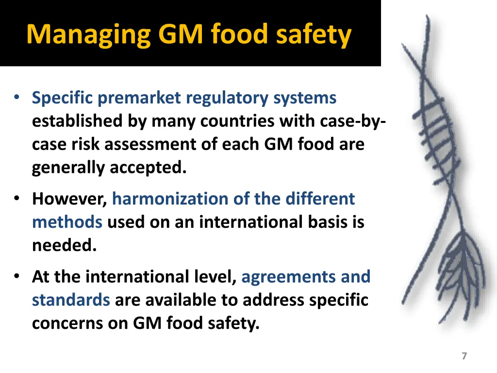 managing gm food safety