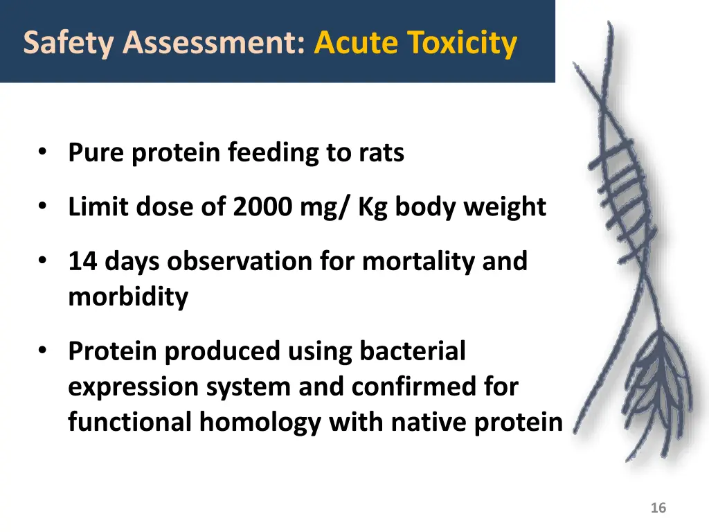 safety assessment acute toxicity