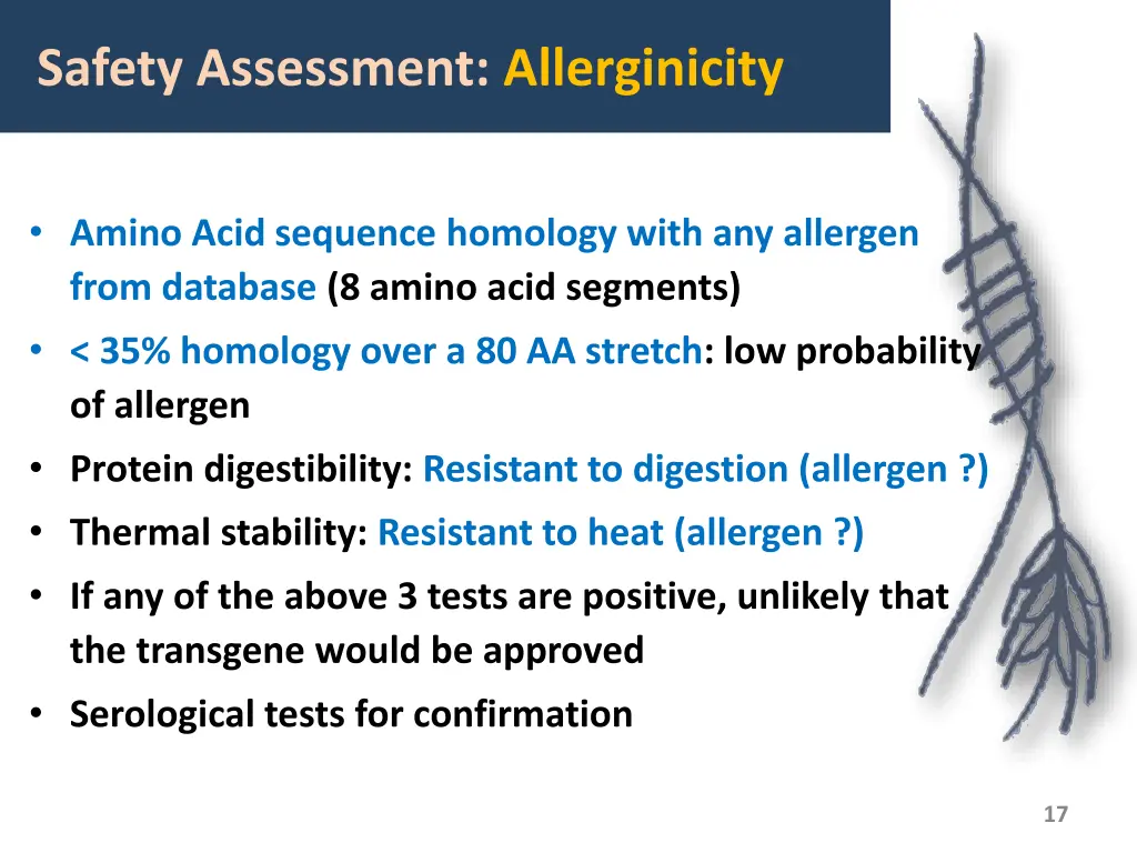 safety assessment allerginicity