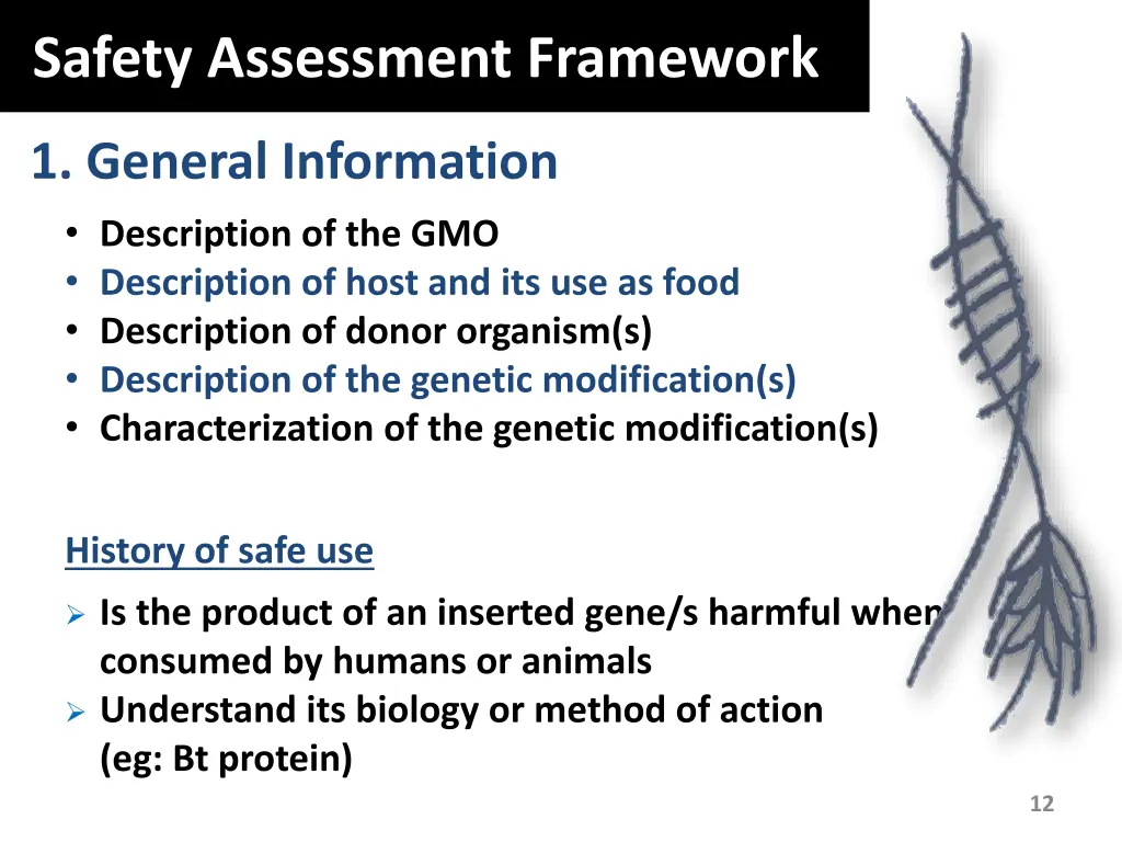 safety assessment framework