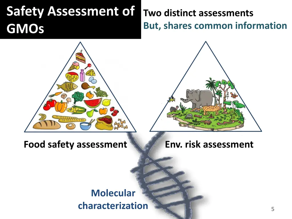 safety assessment of gmos