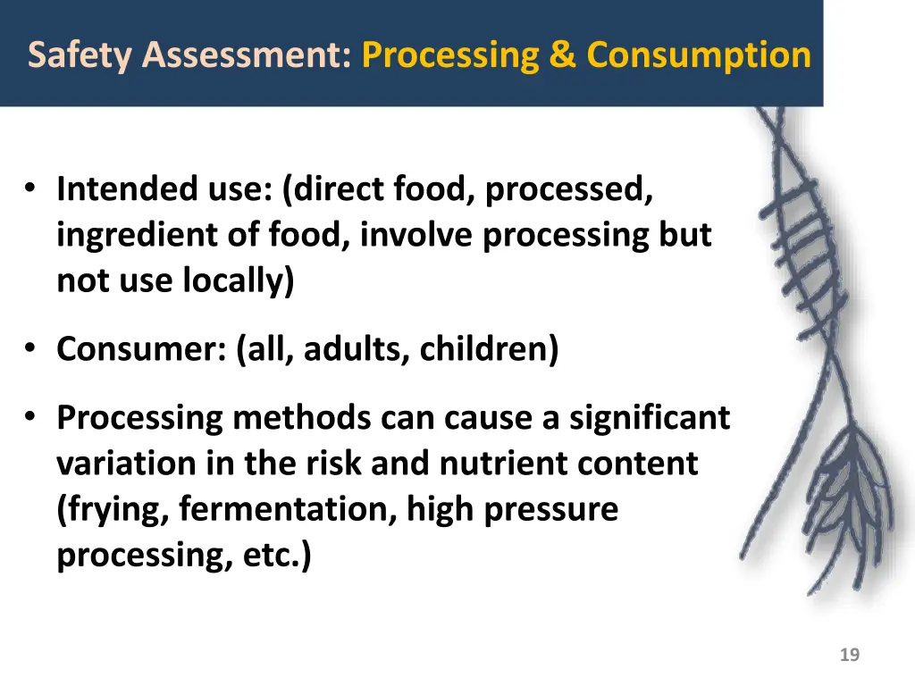 safety assessment processing consumption