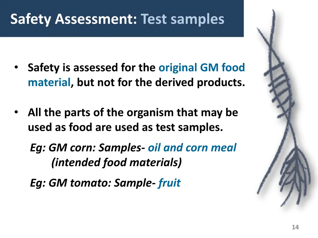 safety assessment test samples