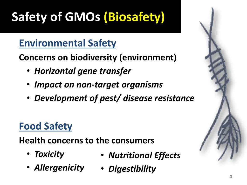 safety of gmos biosafety